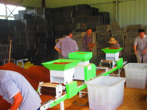 樅陽縣育秧工廠 科技減災(zāi)與商務(wù)信息服務(wù)的創(chuàng)新實(shí)踐